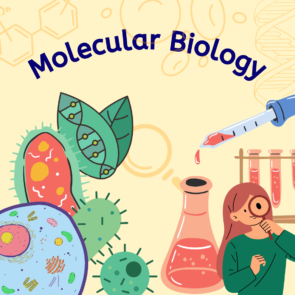 Molecular Biology I Notes